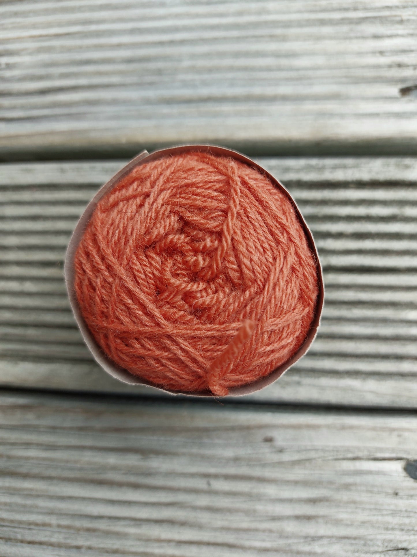 Brick Madder corriedale mini