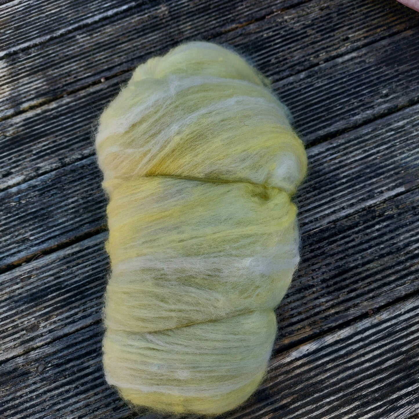 Scabiosa Marigold Corriedale Batt Fibre 100g
