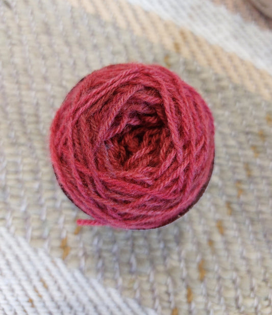 Barn Te Hūpēnui Beanie