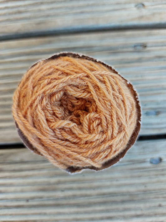 Coreopsis + walnut corriedale mini 4ply