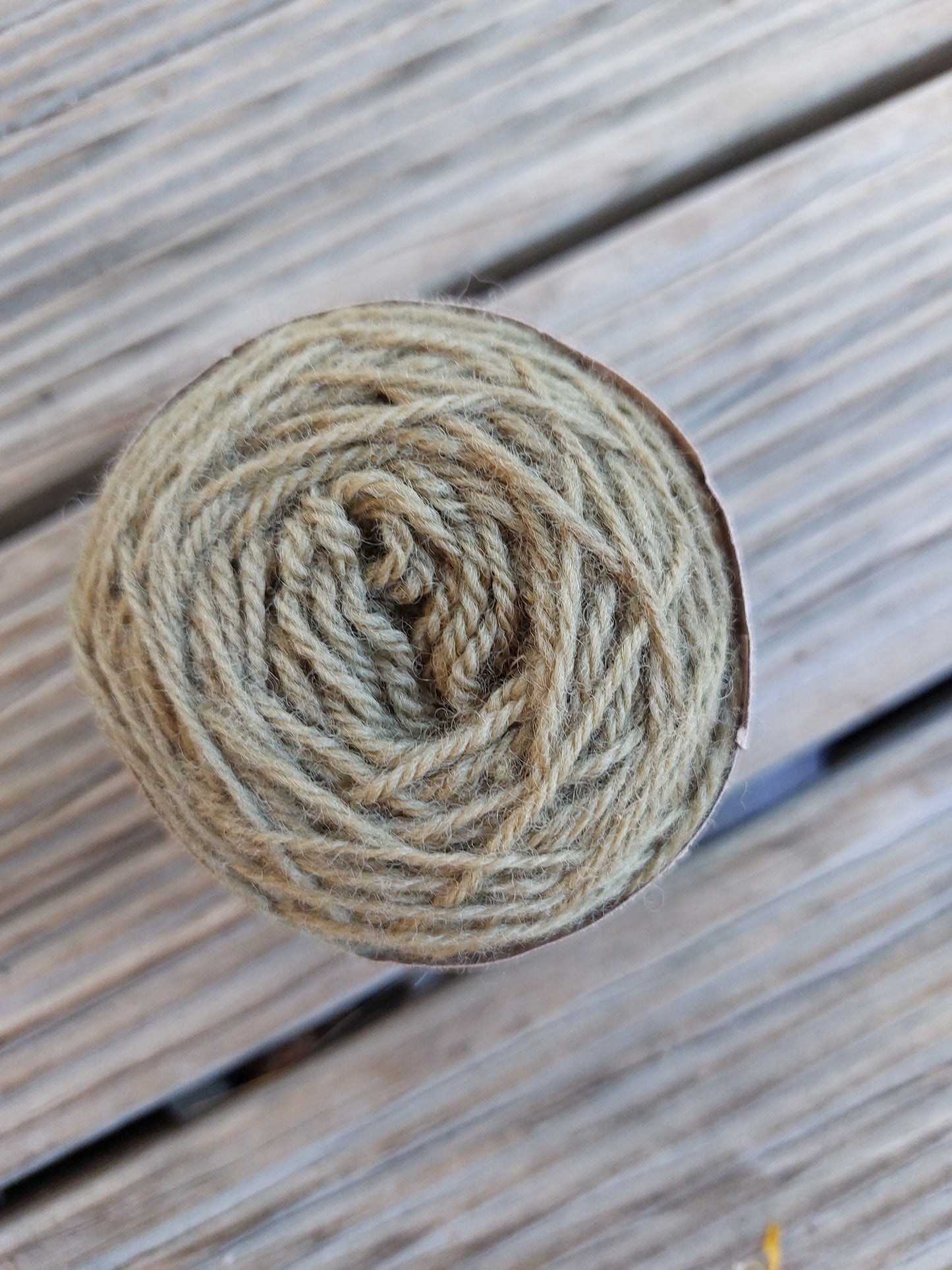 Moss corriedale 4ply mini