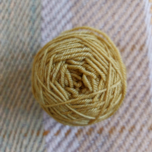 Marigold Sock mini