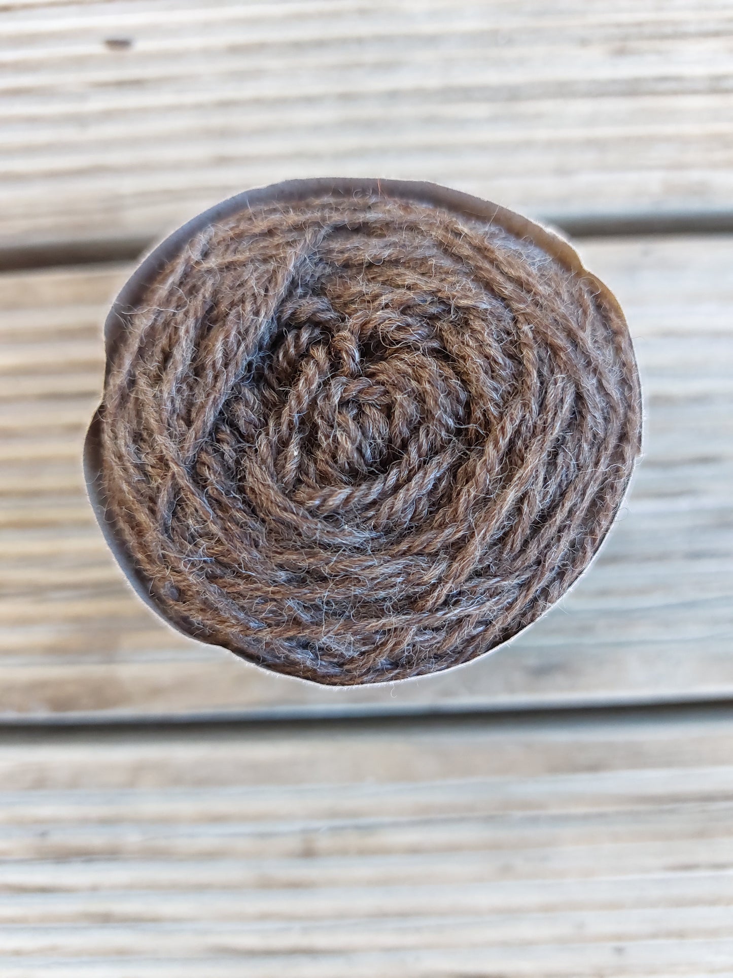 Natural Brown corriedale mini