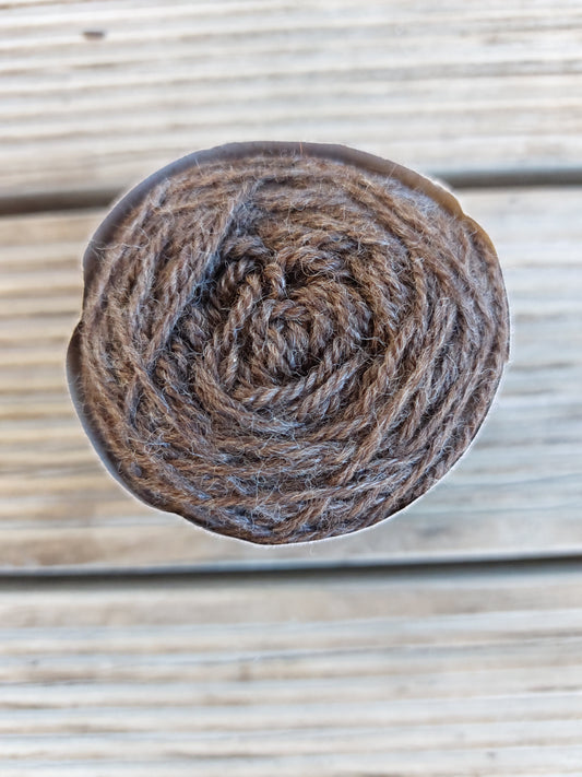 Natural Brown corriedale mini
